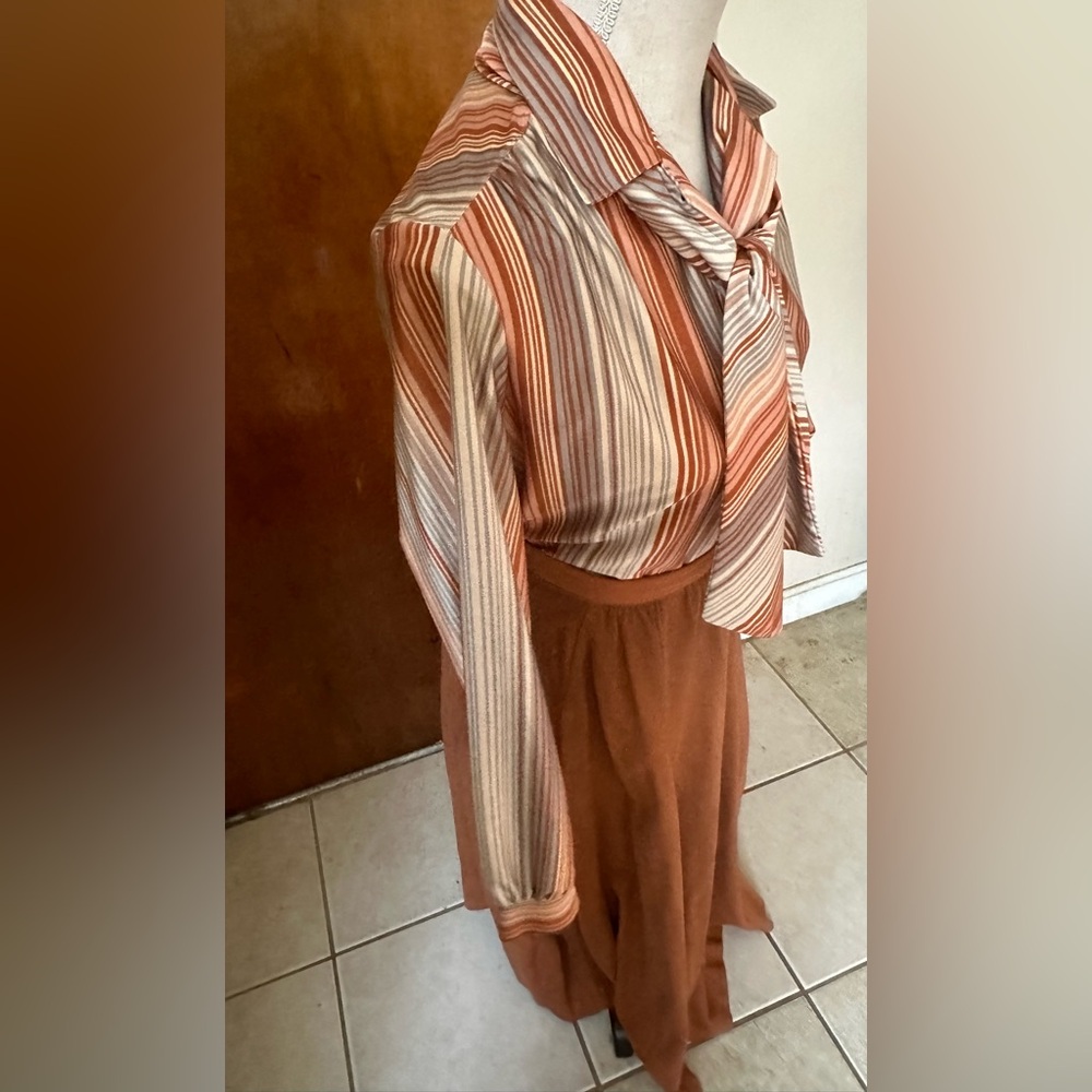 COUNTRY GIRL Skirt Blouse Set Womens Vintage 9-10 Ship’n Shore Rust Warm Brown - Picture 6 of 16